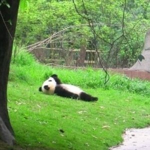 나 고백할거있어.