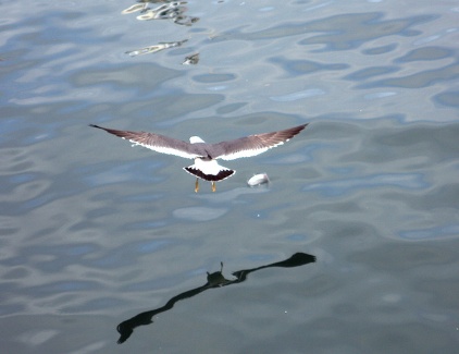 20120720_003803.jpg