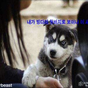 흥한 정책이 ㅇ벗네