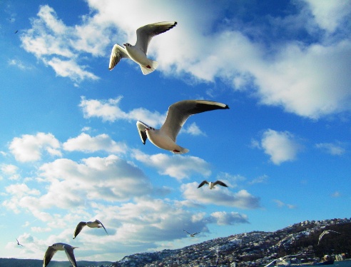 20120725_223623.jpg