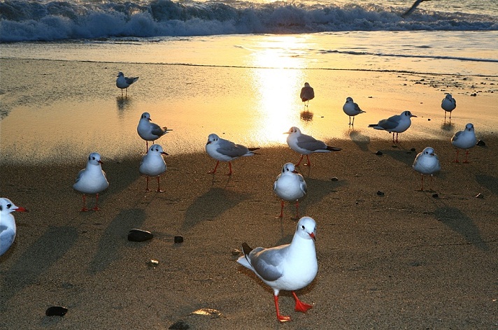 20120725_223750.jpg