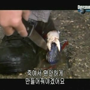 좀따 자야겠네