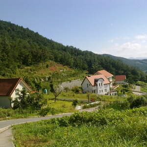 20100923074.jpg