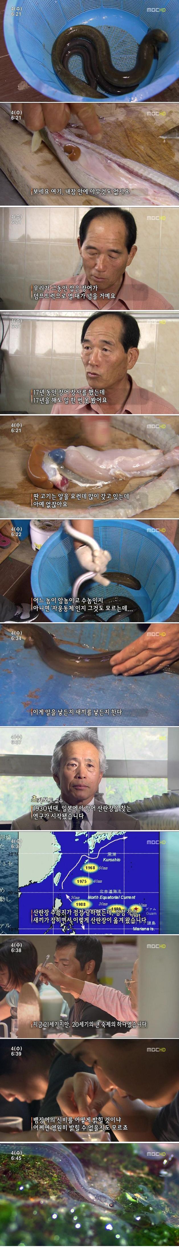 jang.jpg