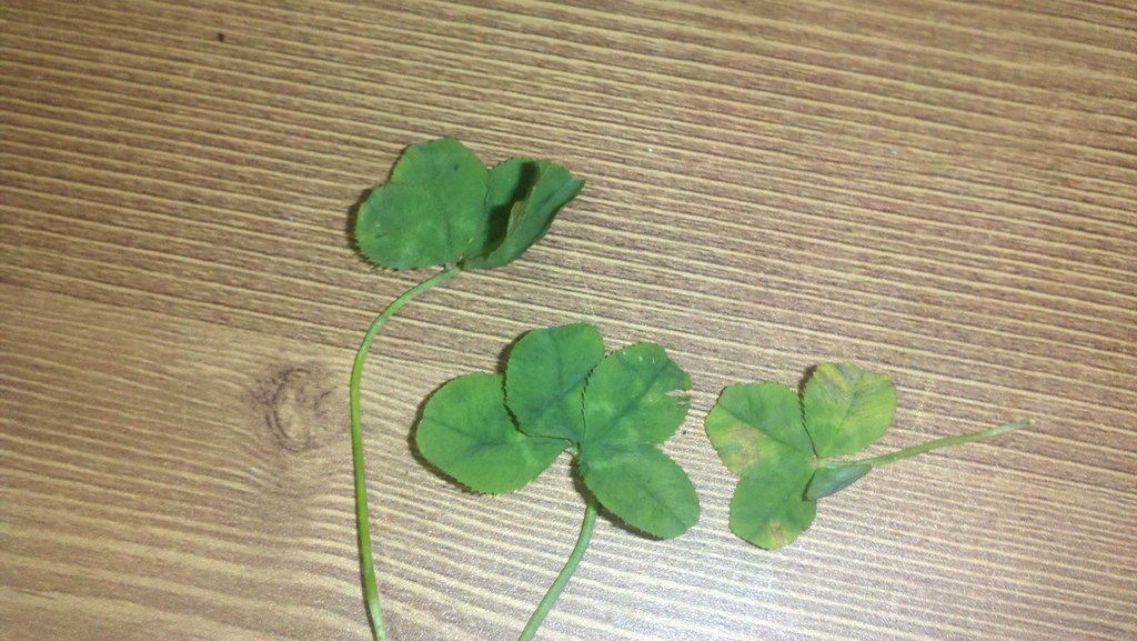 2011-06-12_22-36-15_810.jpg