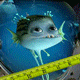 507595.gif