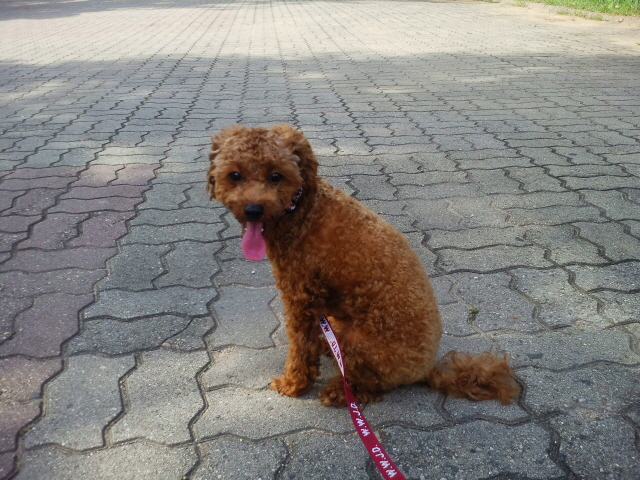 크기변환_사진120827_010.jpg