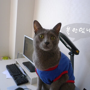 토요일날 남자한테 뺨맞았다
