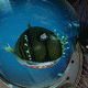 Untitled-2.gif