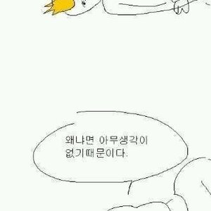 이사이트 안망한다