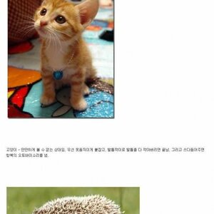 다 밥먹으러 갔냐