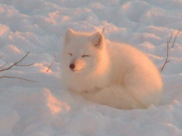 ^ㅅ^.JPG