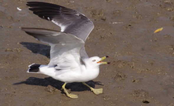 20120725_223834.jpg