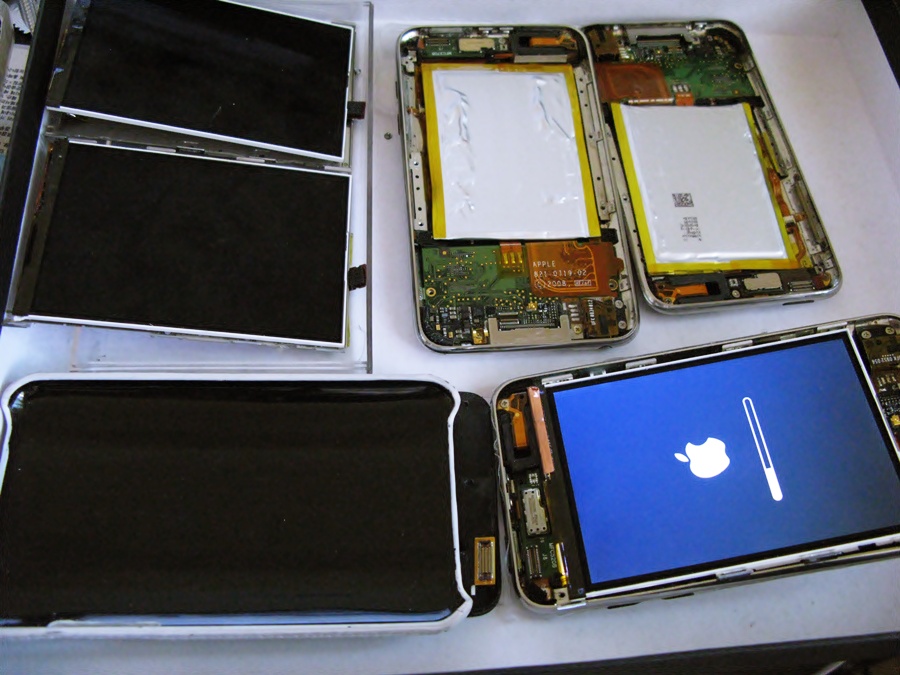 apple 011.jpg