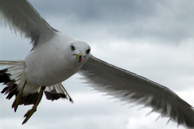 20081203_1[1].jpg