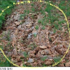 에이 내가 정답표시했다