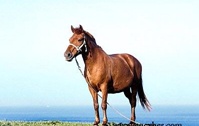 naver_com_20110715_013210.jpg