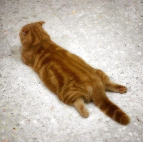 hyuny37.jpg