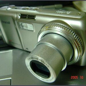 DSC01545-leebat1.jpg