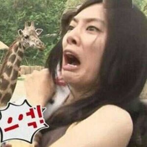 믹키연불의 귀환이냐