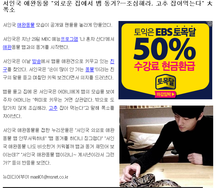 애완견.jpg