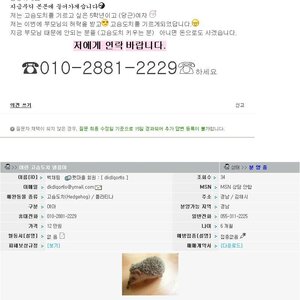 야이 밥은먹고 십덕거리냐?
