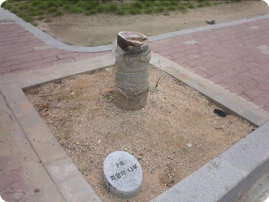 희망의나무.jpg