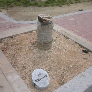 아직까지 안드로이드는