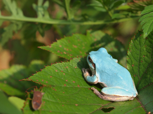 20110729000427_1.jpg
