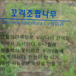 P100423023.jpg