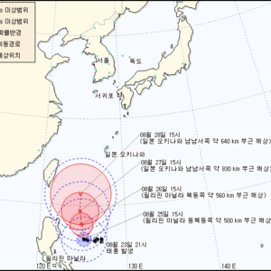 제11호 난마돌.png
