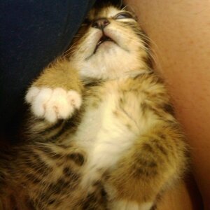 201005130201_161_rusign.jpg