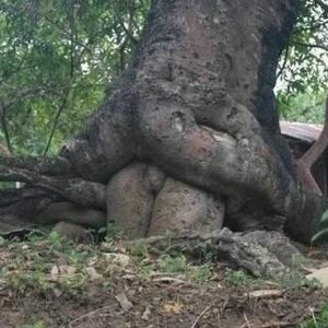 저녁에 잠시 나갔다가 베터리 방전됨 ㅇㅇ.