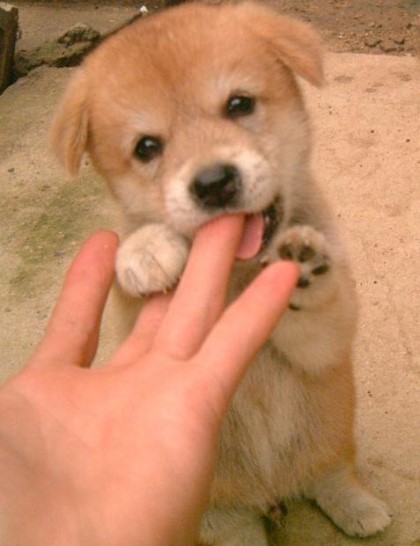75535063_1251985401_jungmin3389.jpeg