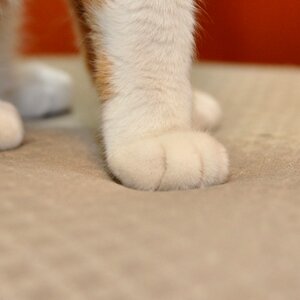 오늘 할당량 끝 ㅇㅇ