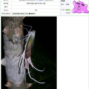 정덕매미없네여