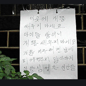 누군가가 궁금해 한 쌔우다