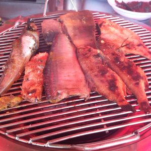 사진_009.jpg