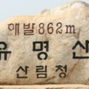 워크샵에서 해먹을 만한 음식좀 춫현해줘
