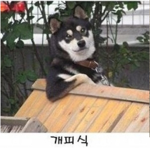 개피식.jpg