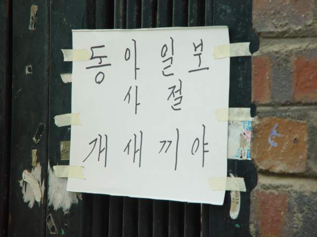 동아일보.jpg