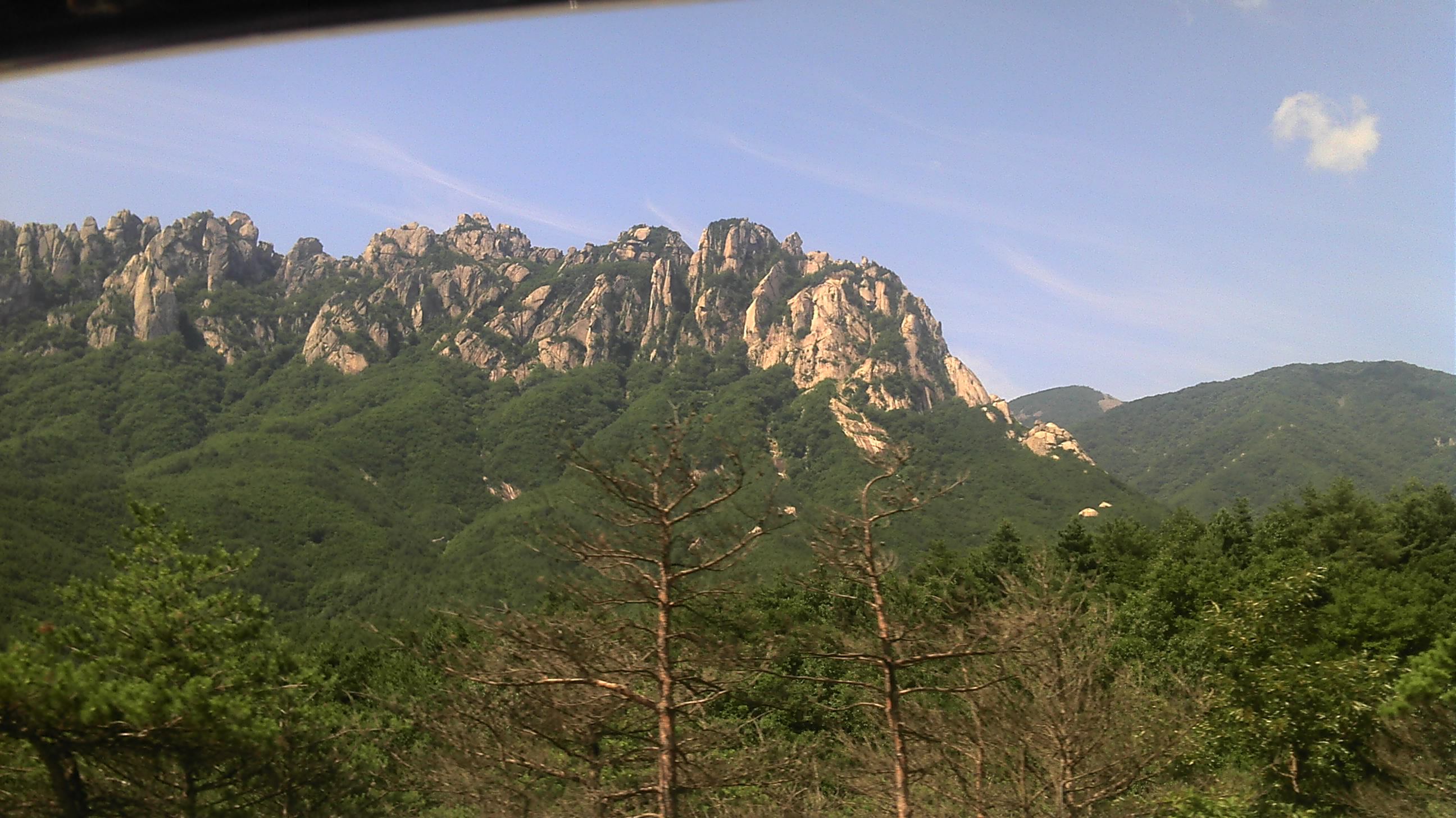 2011-07-05_10-01-55_658.jpg