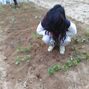소농사를 시작한 후기