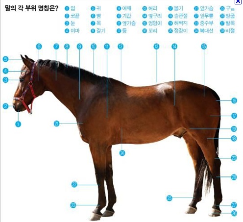 google_co_kr_20110630_215525.jpg