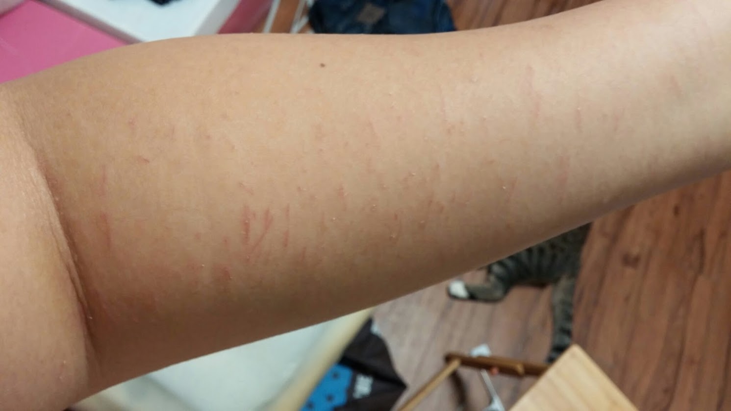 20140725_140159.jpg