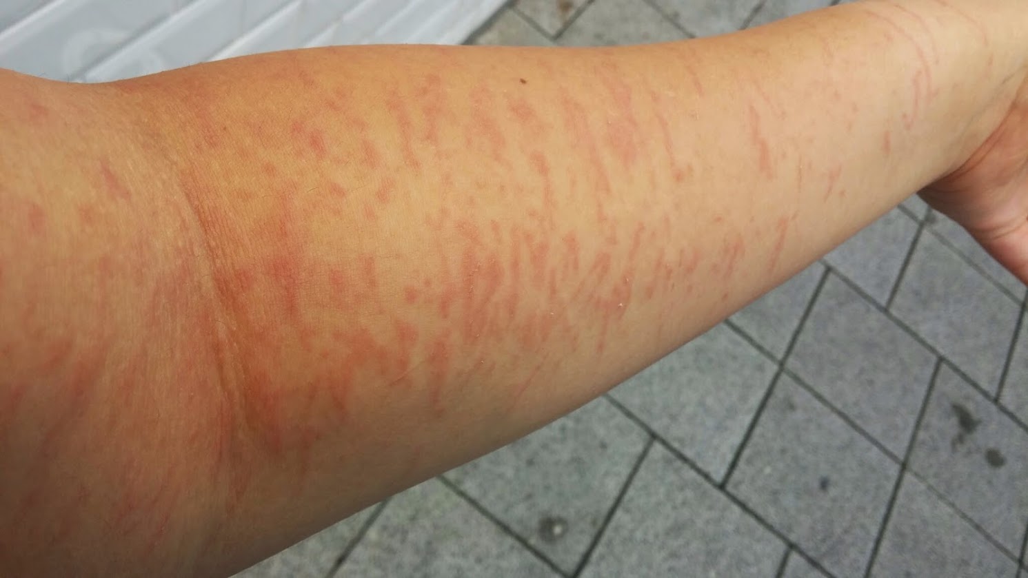 20140724_155658.jpg