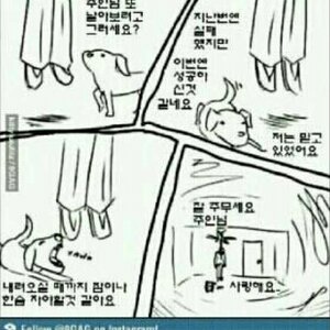 헷