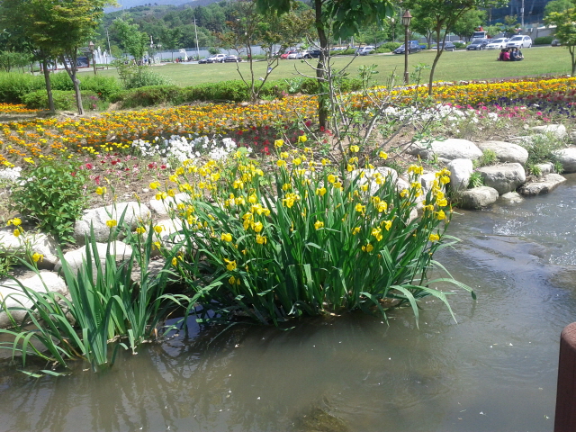 크기변환_IMG_20110522_100430.jpg