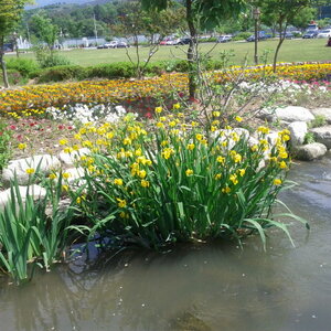 크기변환_IMG_20110522_100430.jpg