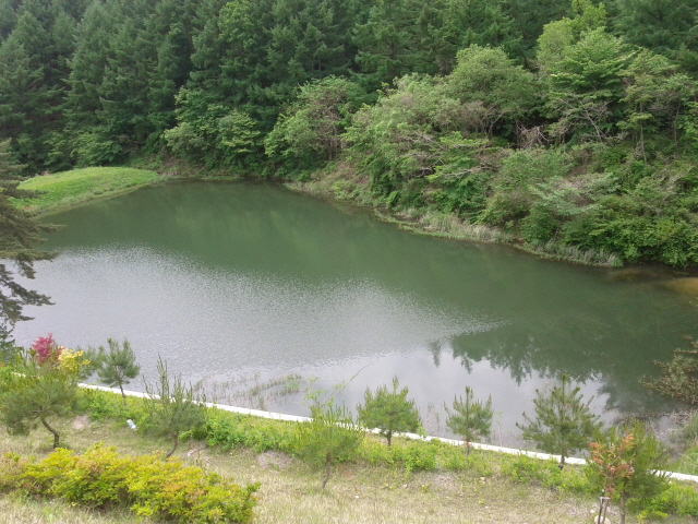 크기변환_IMG_20110522_114256.jpg
